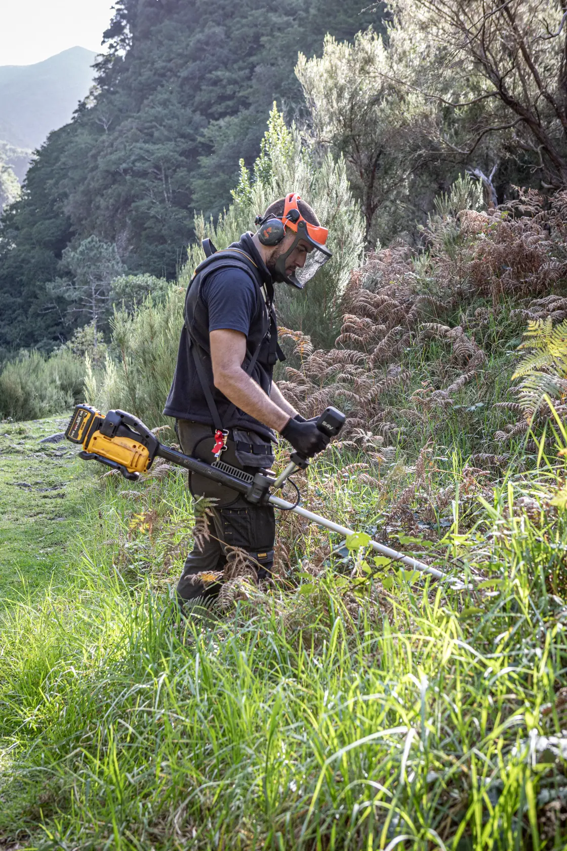 Persona usa DEWALT DCMBC823N, DCMBC823N-XJ desbrozadora al aire libre con equipo de seguridad.