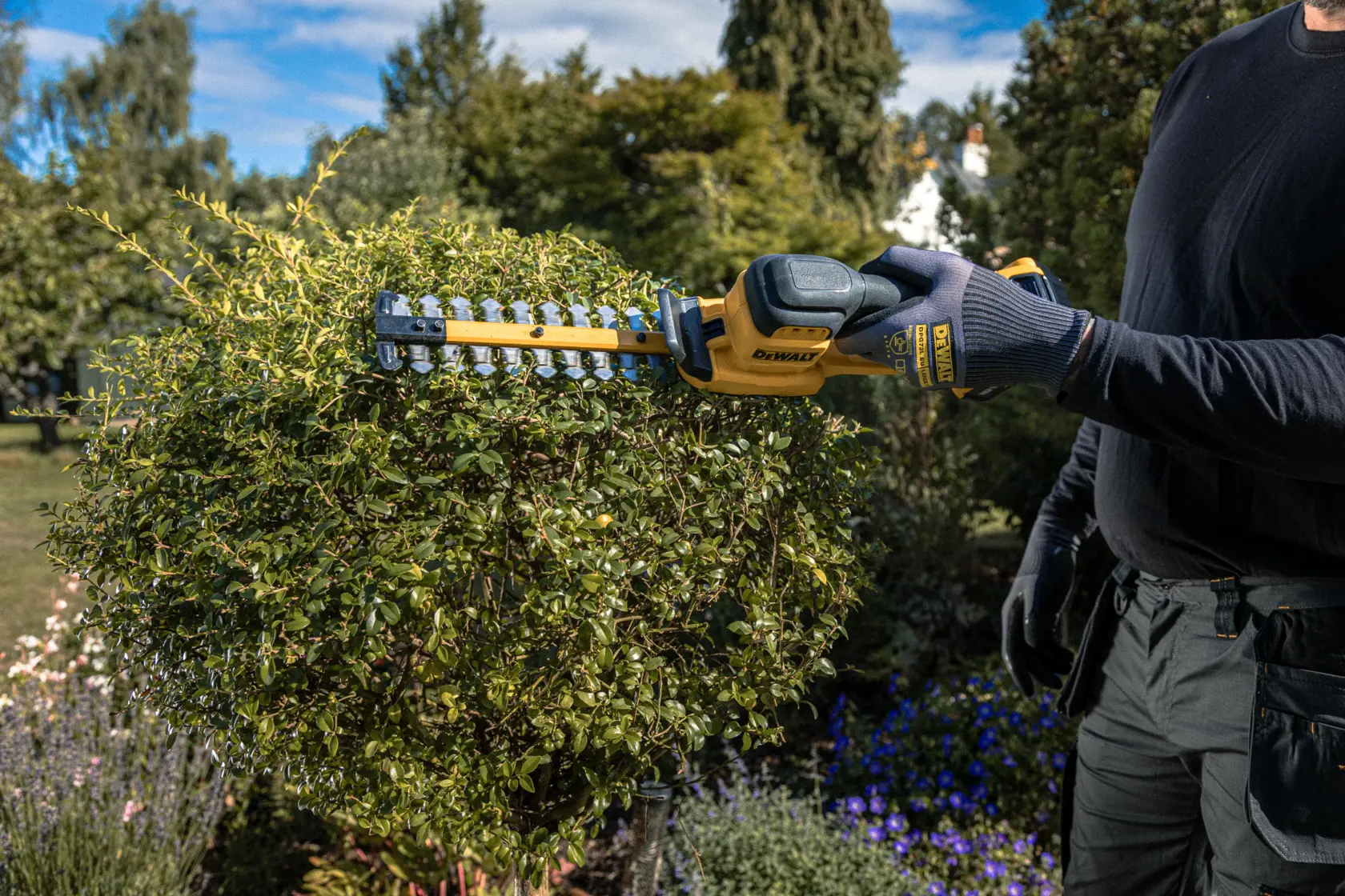 Cortasetos DEWALT en uso al aire libre. SKUs: DCMHT520N-XJ, DCMHT520D1-QW, DCMHT520D1, DCMHT520N.