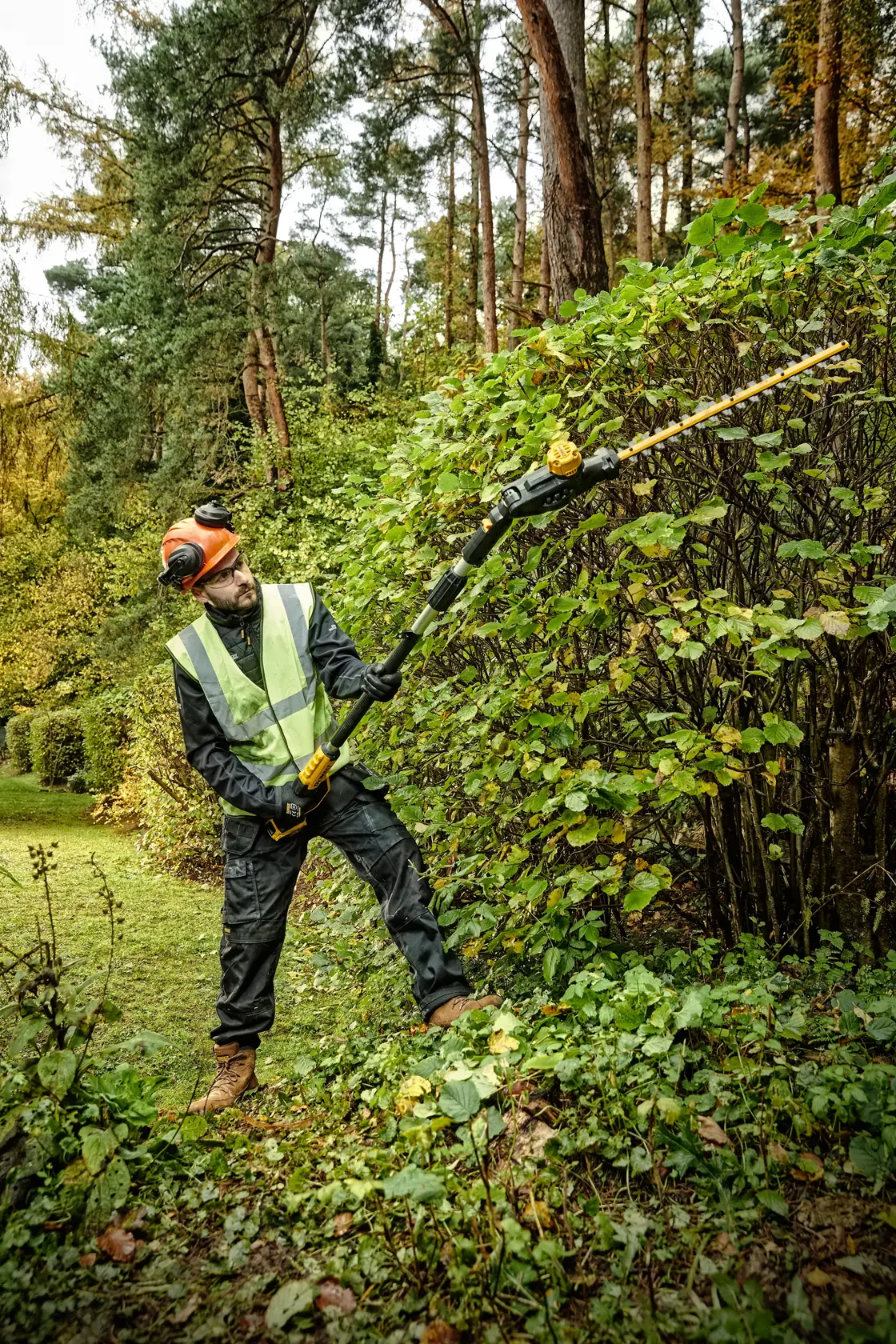 18 Volt Akku-Stabheckenschere 55 cm