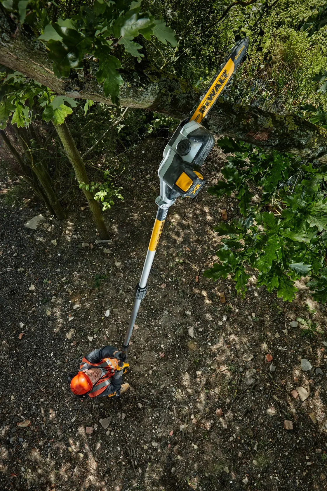 Persona utiliza una motosierra de pértiga DEWALT DCMPS567N para cortar ramas altas exterior.