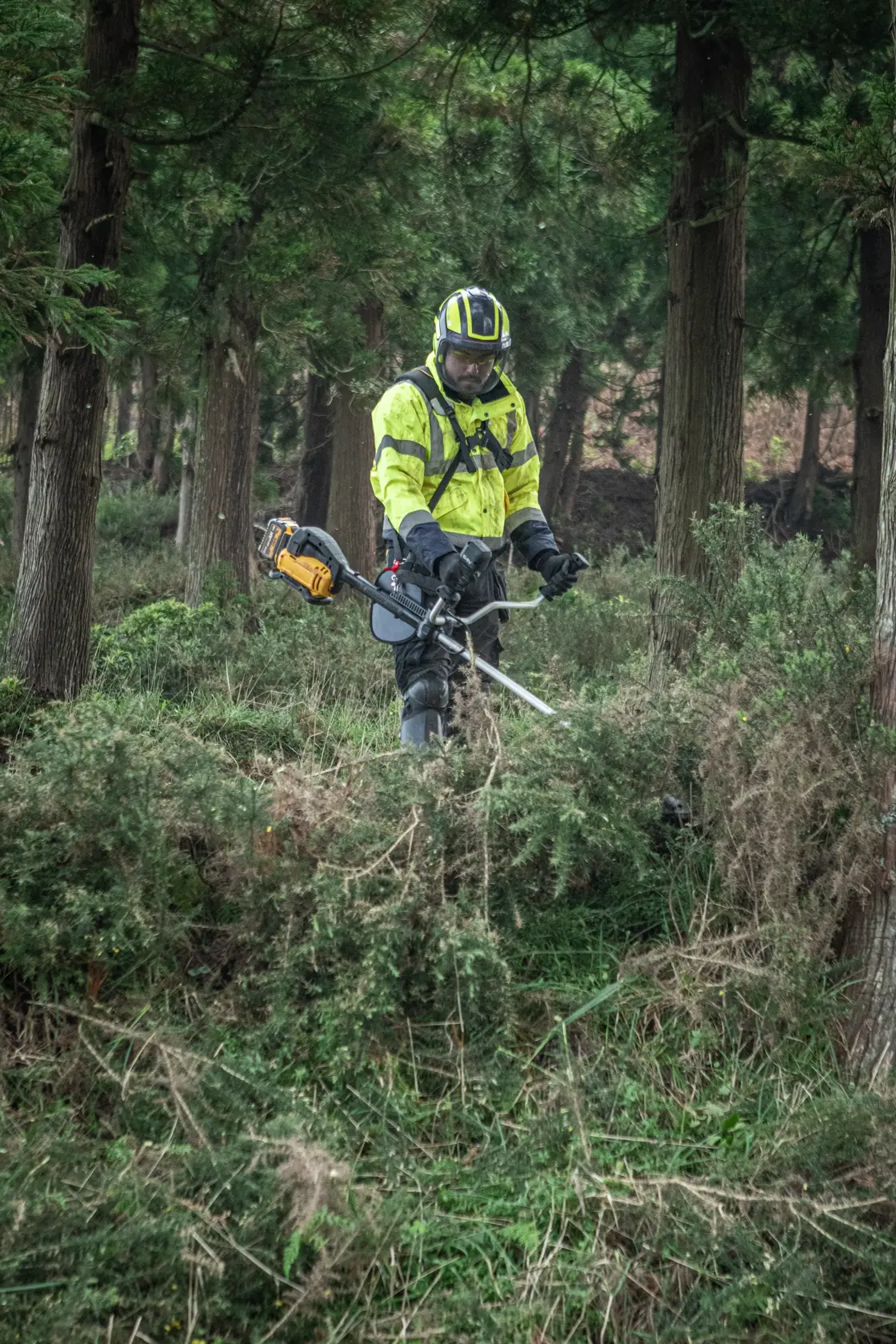 Arbeiter nutzt DEWALT DCMST922N, DCMST922N-XJ Freischneider im Wald. Produktkategorie: Fotografie.