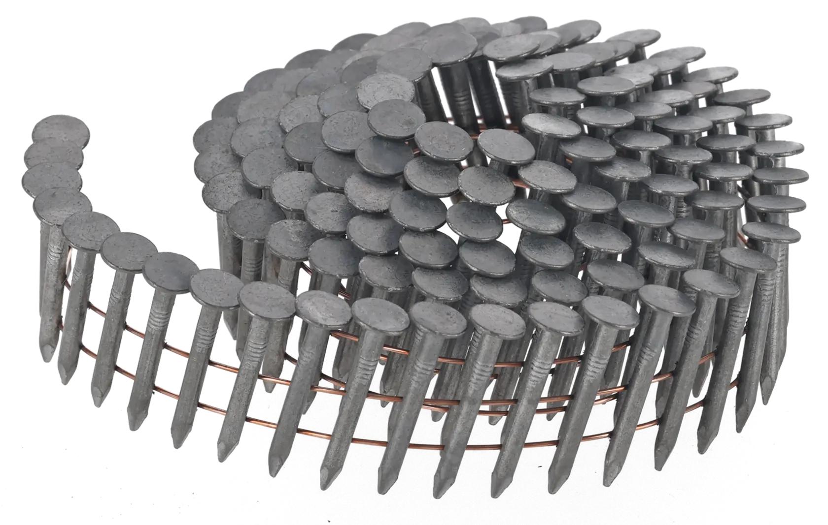 Spiralförmige Stahlnagelrolle für Nagelpistole. Nägel haben flache Köpfe und sind verbunden.