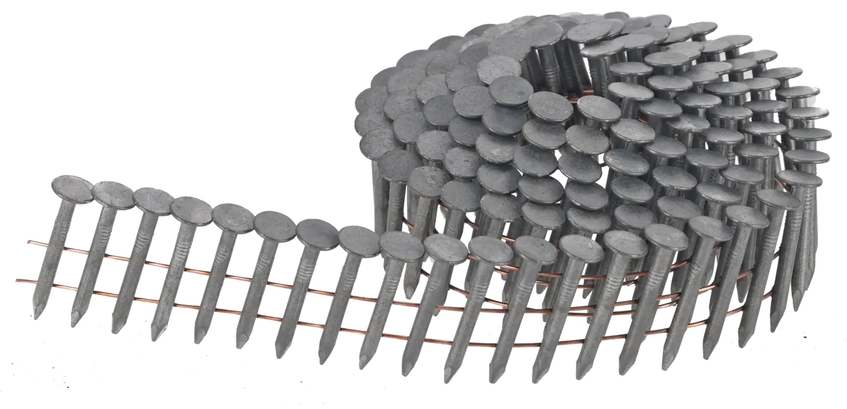 Eine Spule mit verbundenen Nägeln für ein Nagelgerät, spiralförmig auf weißem Hintergrund.